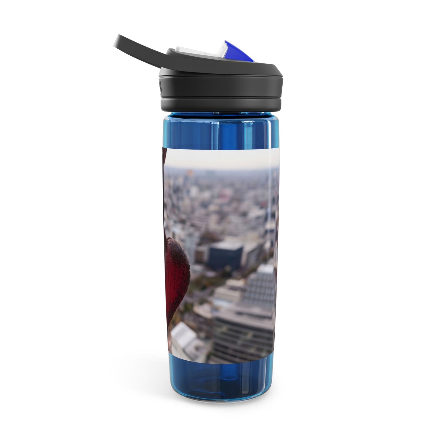 Rusty Heart Weight CamelBak Eddy® Water Bottle, 20oz\25oz – Suspended Over Concrete Skies