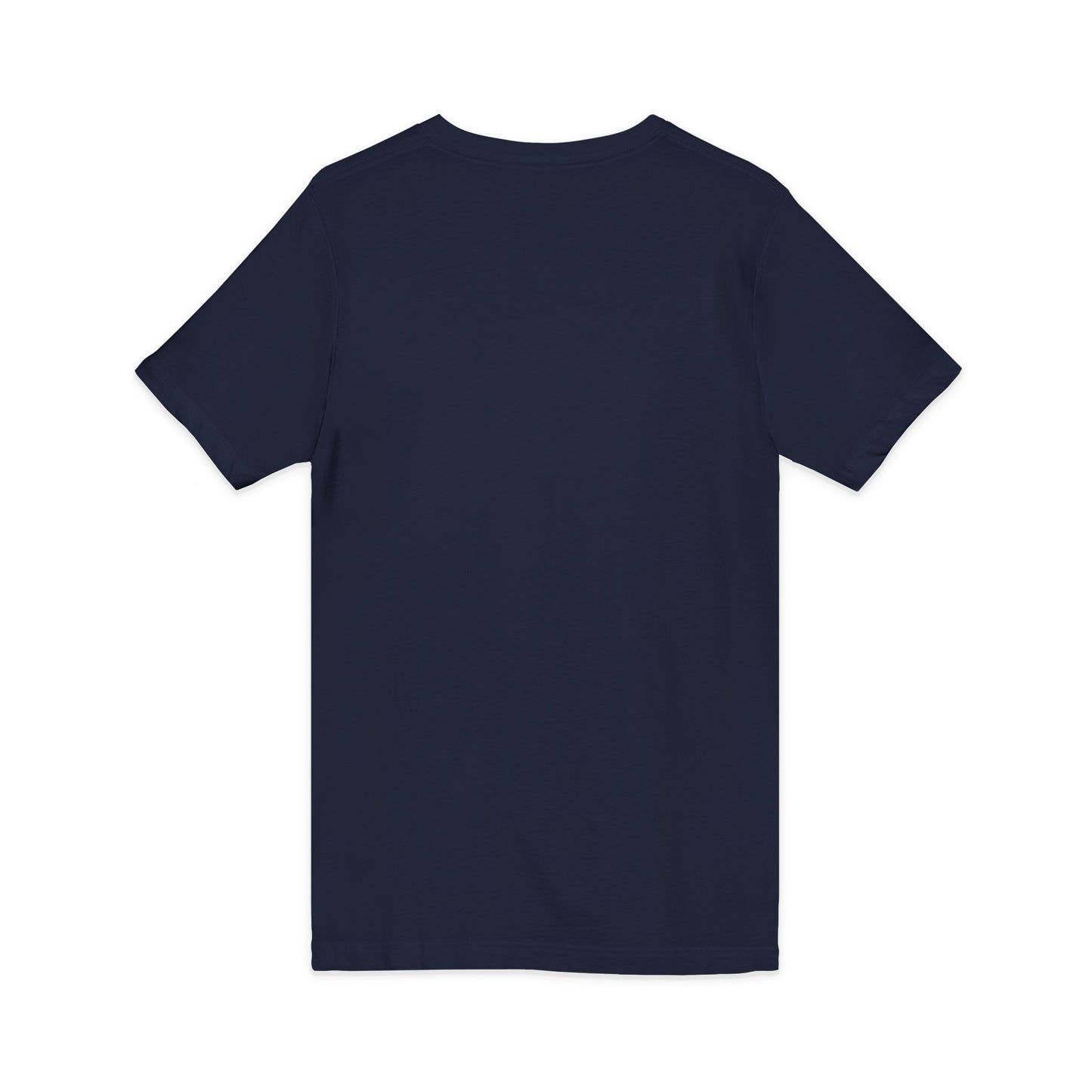 The Ritz Flamingo Sign V-Neck Tee – Gilded Ornament Graphic Print