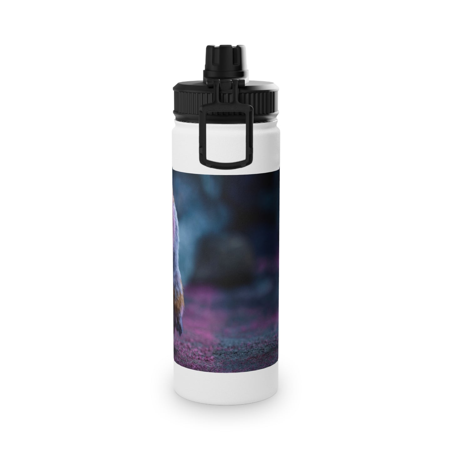 Velvet Owl with Heart Stainless Steel Water Bottle, Sports Lid – Midnight Whimsy Companion