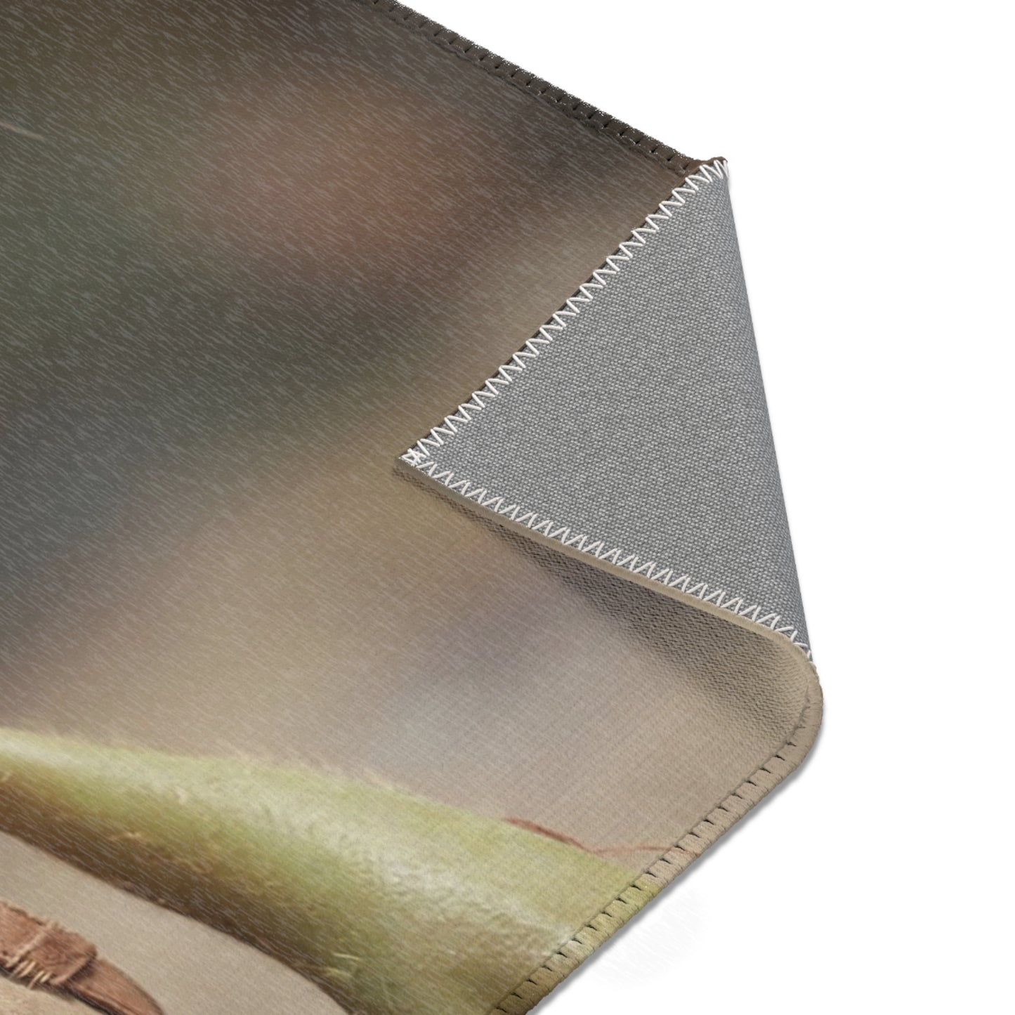 Gnome Scout Area Rugs – Sunlit Pathway Adventure