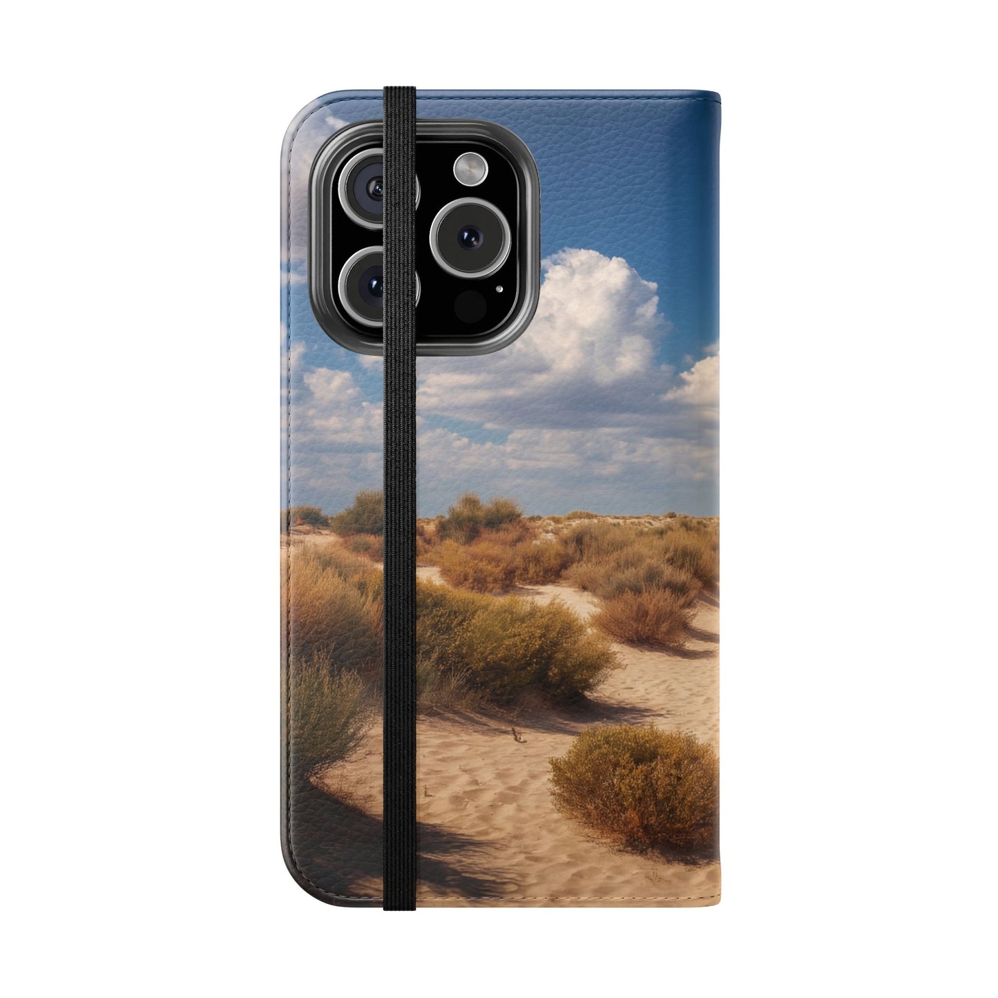 Drowned Galleon Flip Cases – Desert Shipwreck Adventure