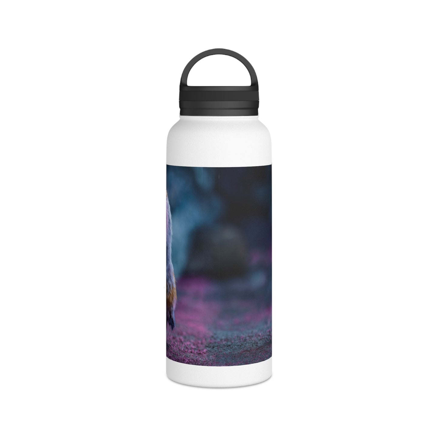 Velvet Owl With Heart Stainless Steel Water Bottle, Handle Lid – Midnight Whimsy Companion