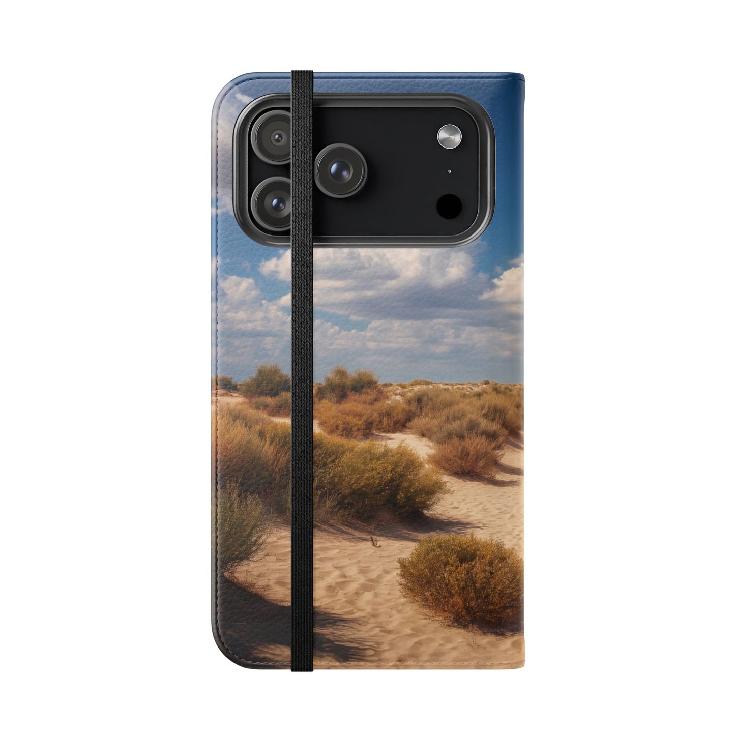 Drowned Galleon Flip Cases – Desert Shipwreck Adventure