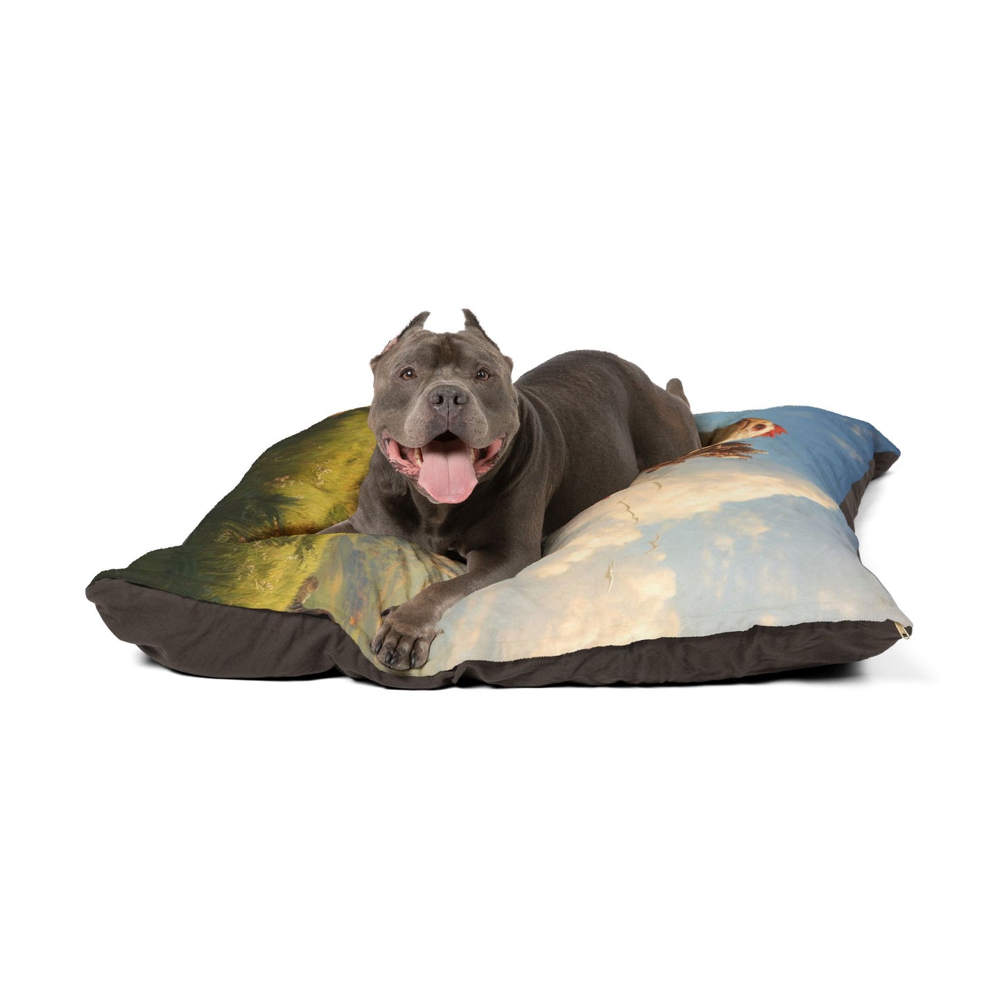 Skyborne Eagle Pet Bed – Riders of the Sunlit Ridge