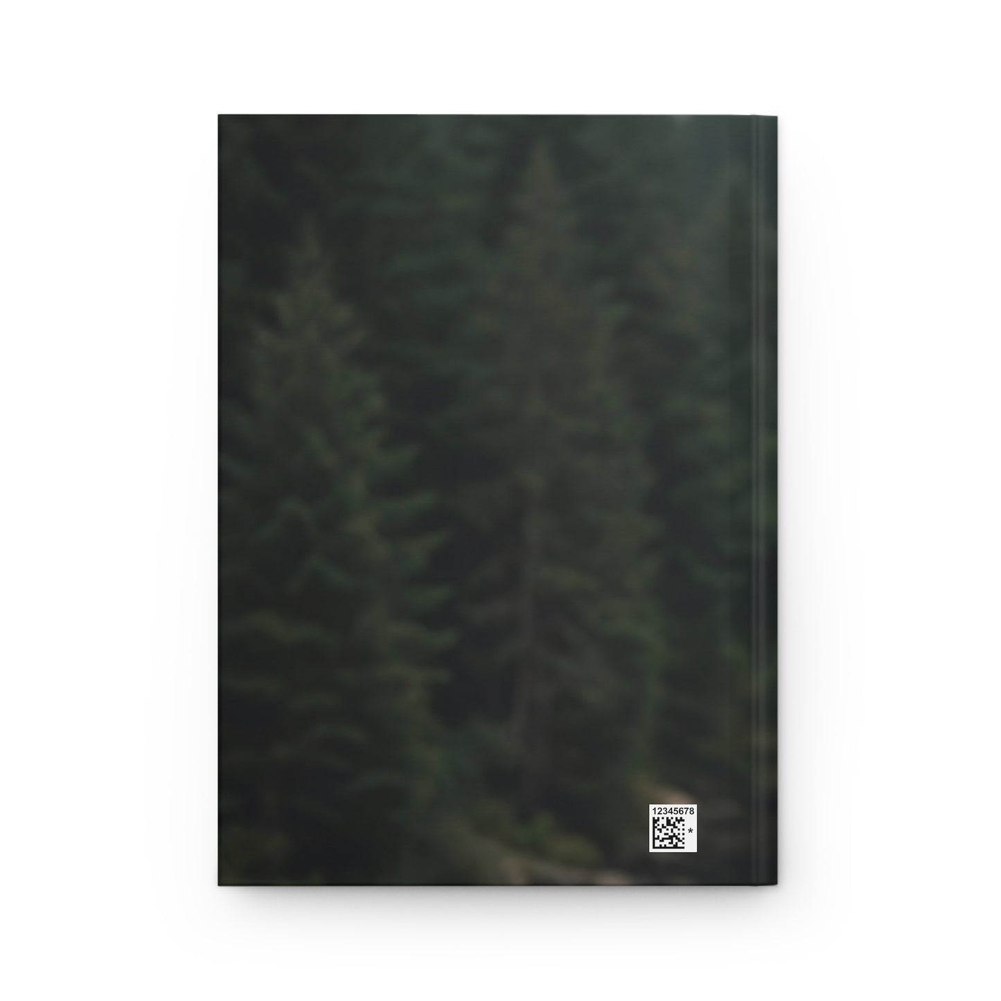 Dragon Rider Hardcover Journal Matte – Forest Skybound Adventure