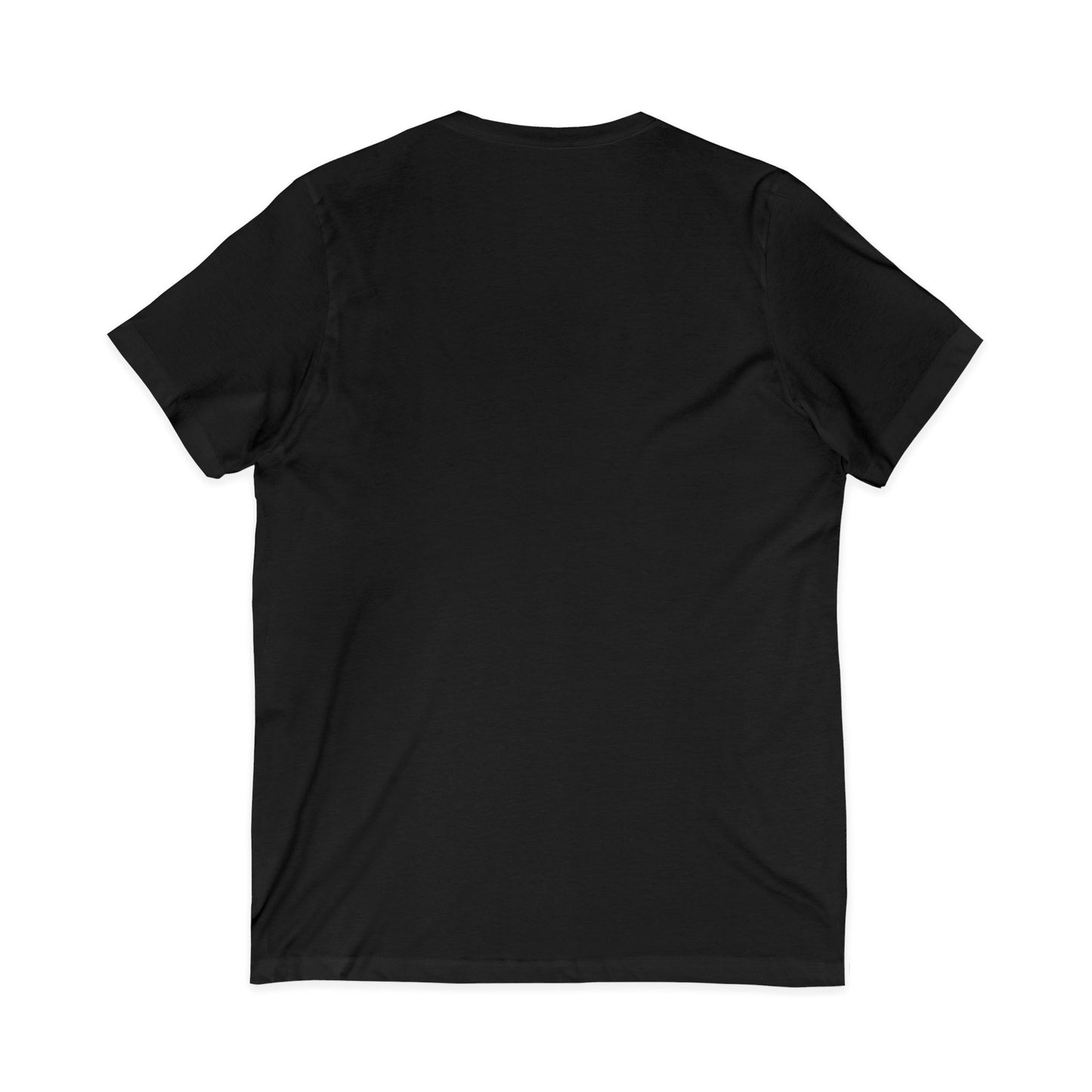 The Ritz Flamingo Sign V-Neck Tee – Gilded Ornament Graphic Print
