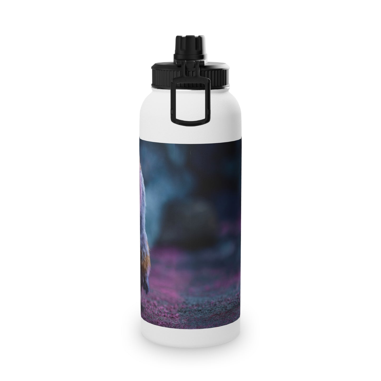 Velvet Owl with Heart Stainless Steel Water Bottle, Sports Lid – Midnight Whimsy Companion