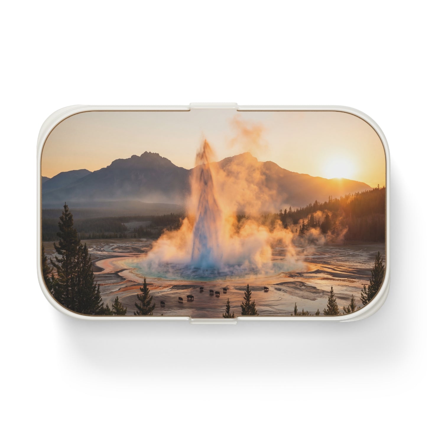 Geyser Dawn Bento Lunch Box – Steam and Bison Serenity