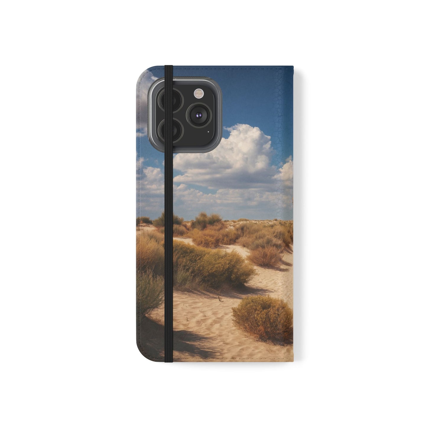 Drowned Galleon Flip Cases – Desert Shipwreck Adventure