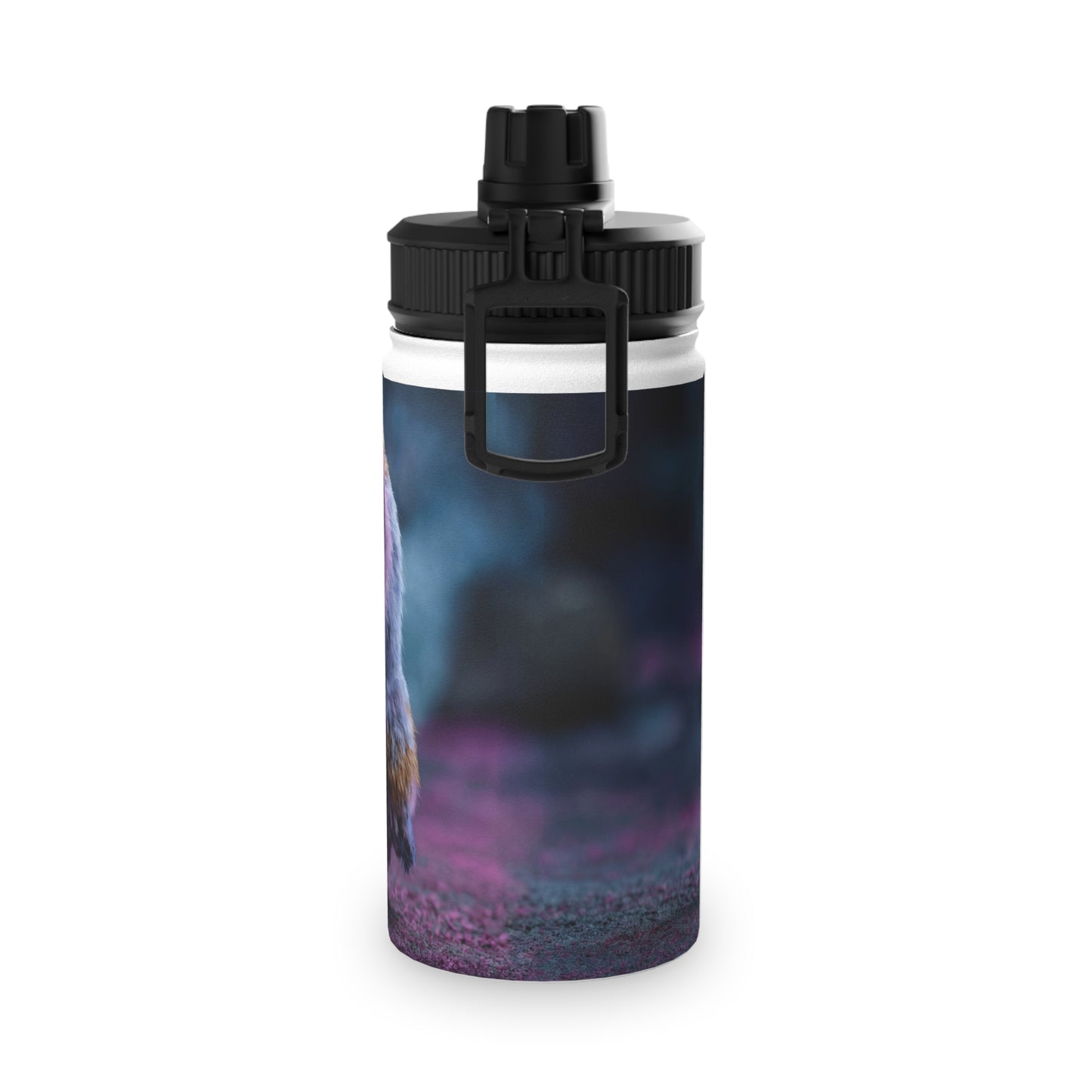 Velvet Owl with Heart Stainless Steel Water Bottle, Sports Lid – Midnight Whimsy Companion