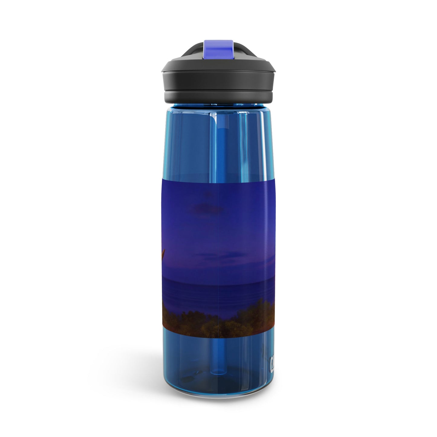 Luminous Phoenix Throne CamelBak Eddy® Water Bottle, 20oz\25oz – Sunset Sanctuary