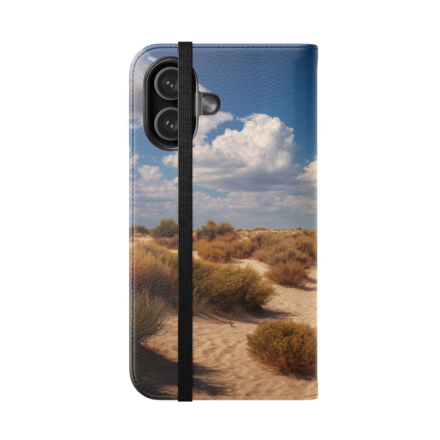 Drowned Galleon Flip Cases – Desert Shipwreck Adventure