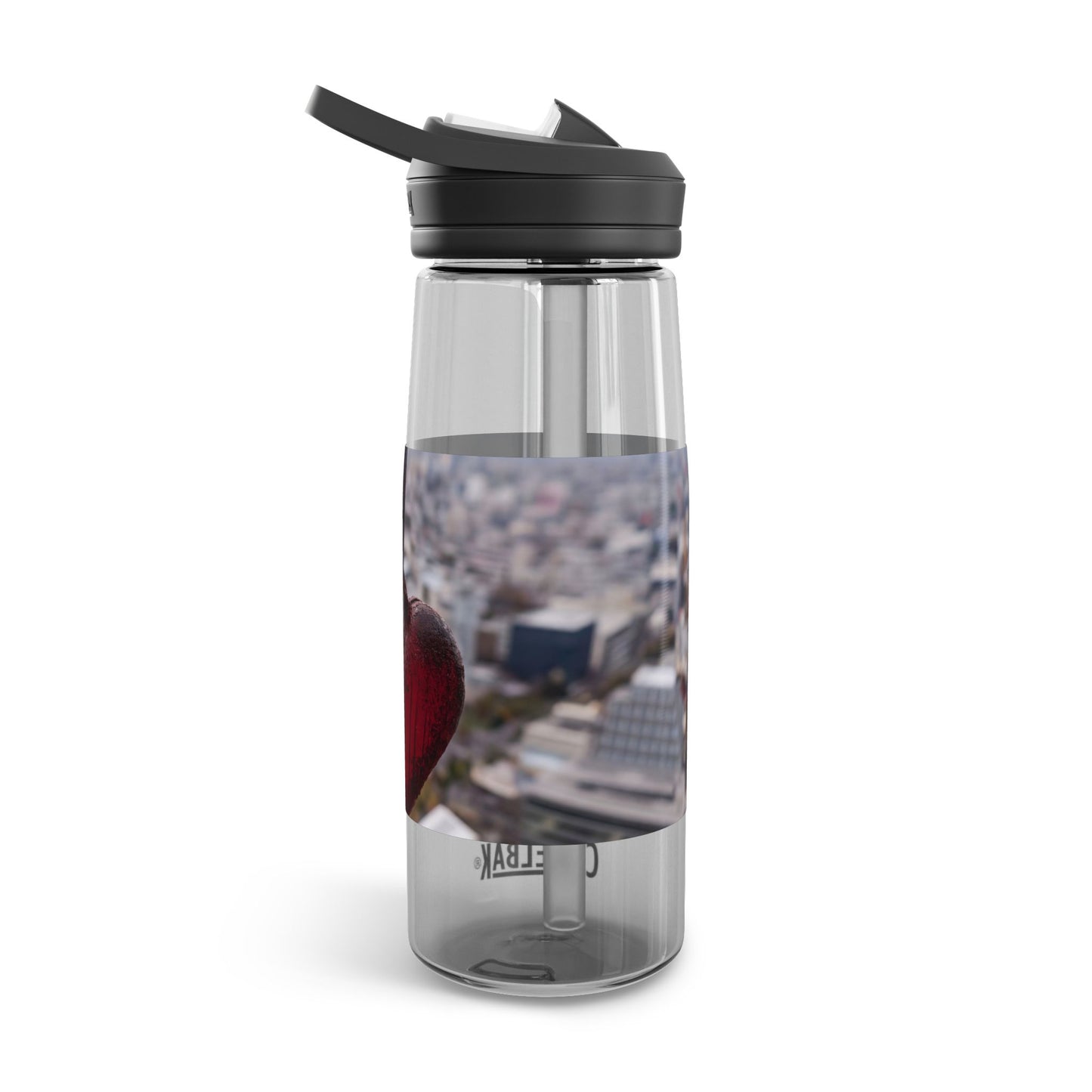 Rusty Heart Weight CamelBak Eddy® Water Bottle, 20oz\25oz – Suspended Over Concrete Skies