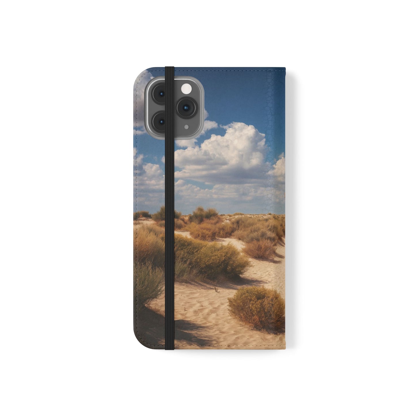 Drowned Galleon Flip Cases – Desert Shipwreck Adventure