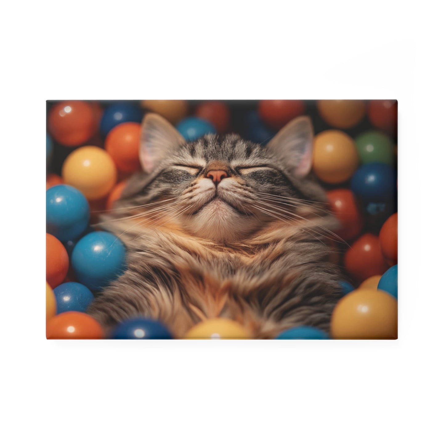 Content Cat in Ball Pit Magnet – Serene Feline Paradise