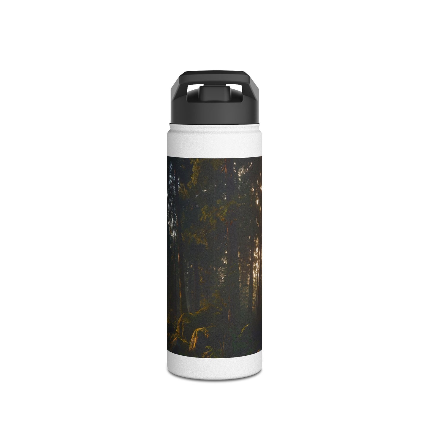 Ancient Treehouse Door Water Bottle – Sunlit Forest Portal