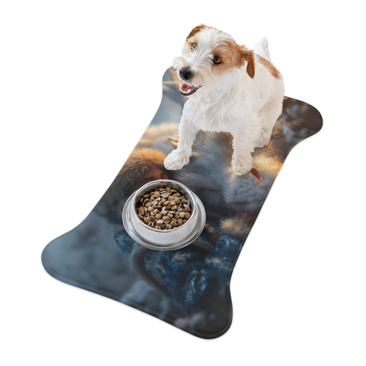 Sleeping Dragon Pet Feeding Mats – Frosty Companion Resting Scene