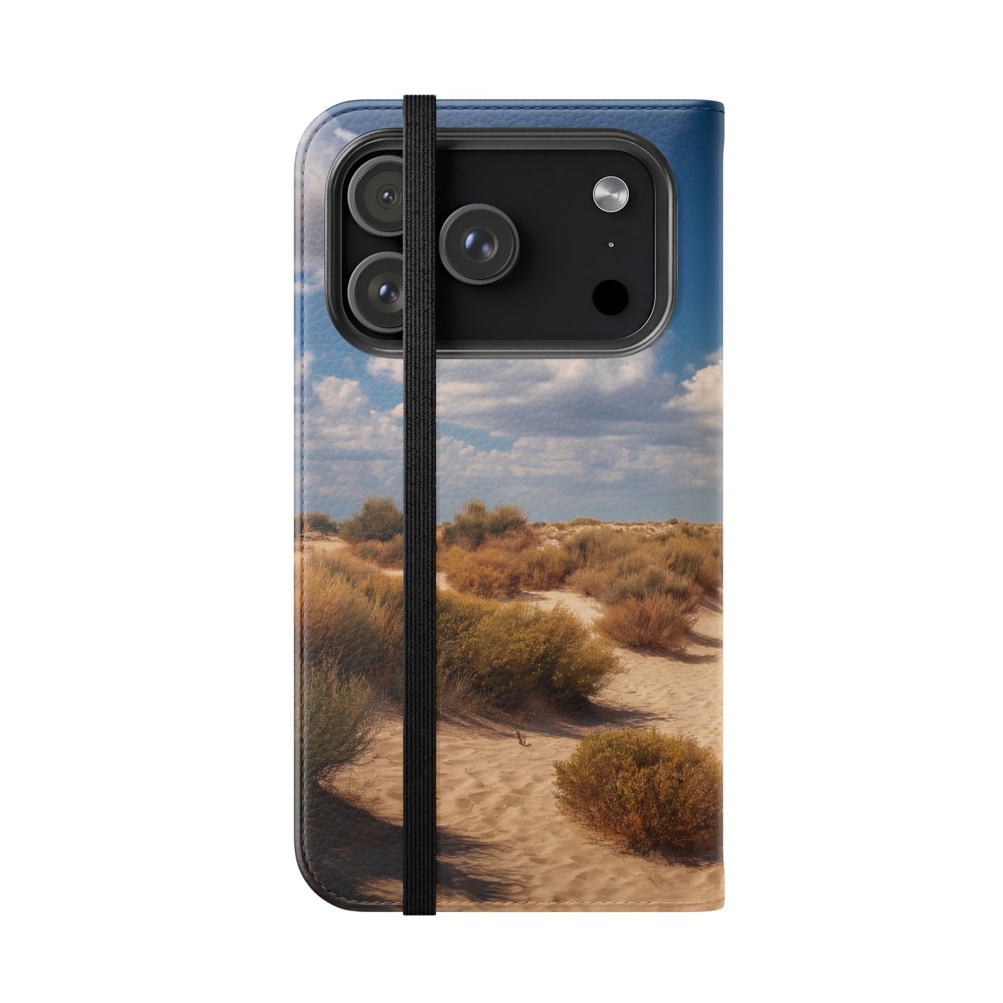 Drowned Galleon Flip Cases – Desert Shipwreck Adventure