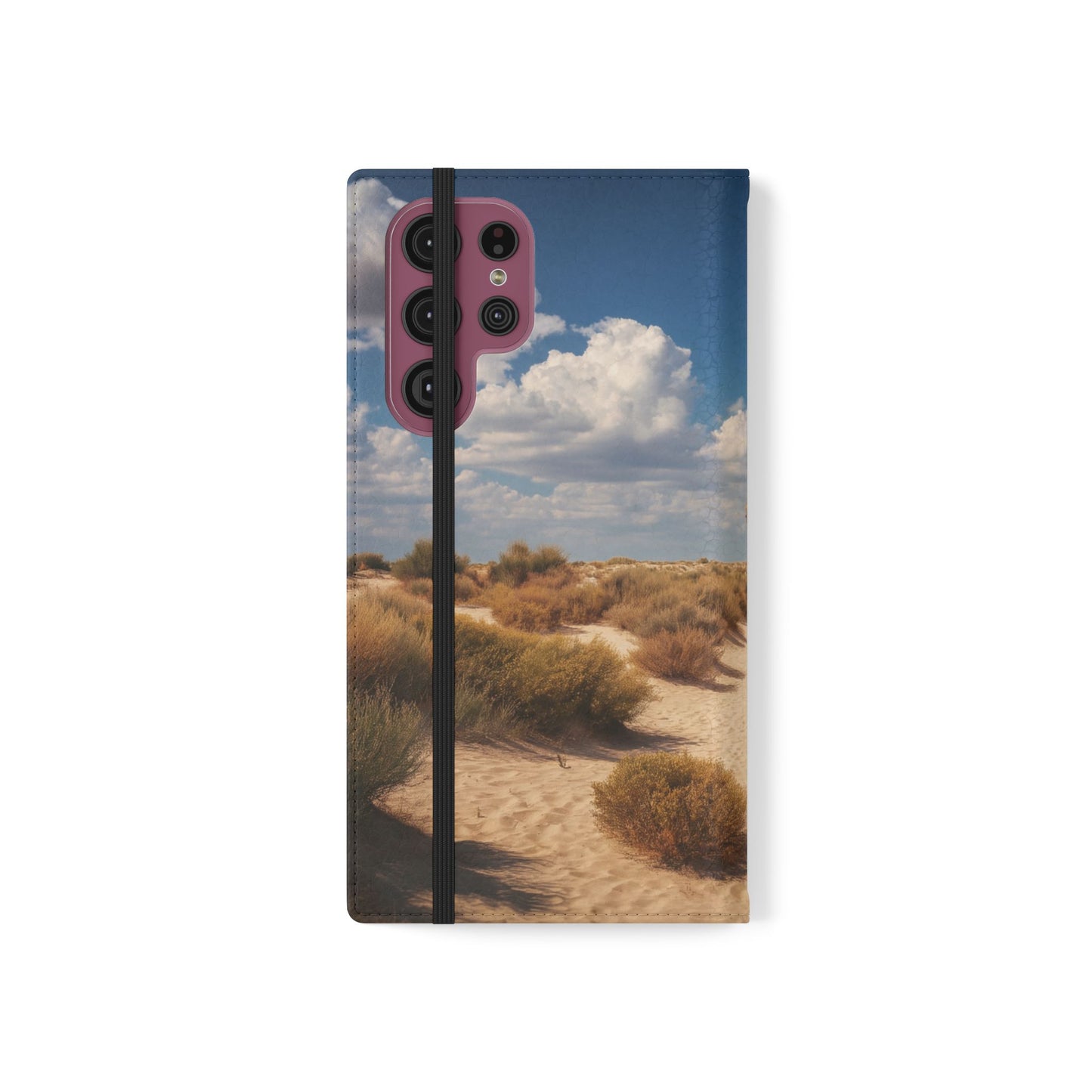 Drowned Galleon Flip Cases – Desert Shipwreck Adventure
