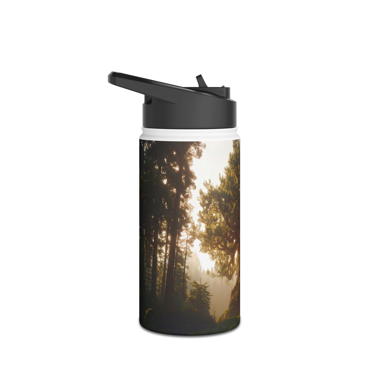 Ancient Treehouse Door Water Bottle – Sunlit Forest Portal