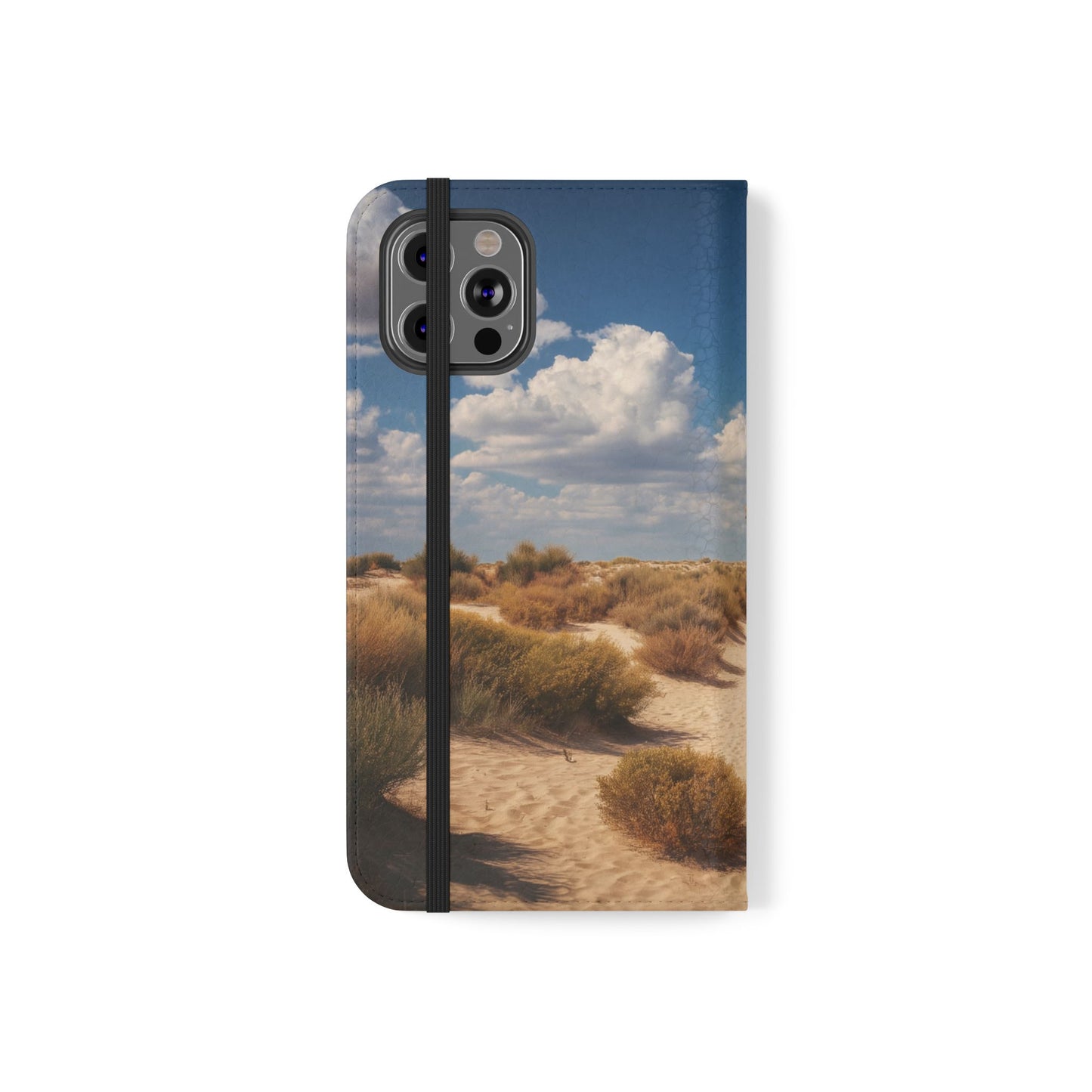 Drowned Galleon Flip Cases – Desert Shipwreck Adventure