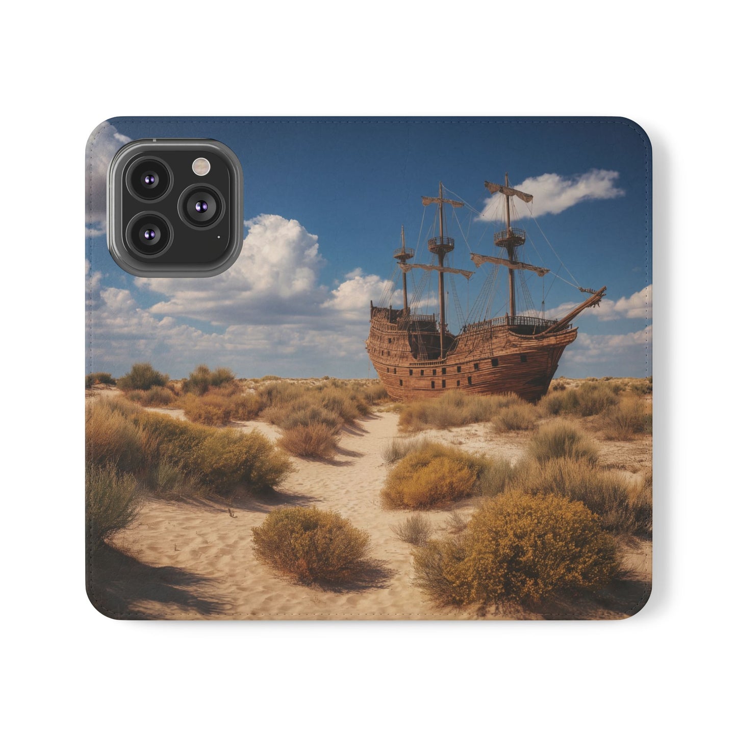 Drowned Galleon Flip Cases – Desert Shipwreck Adventure