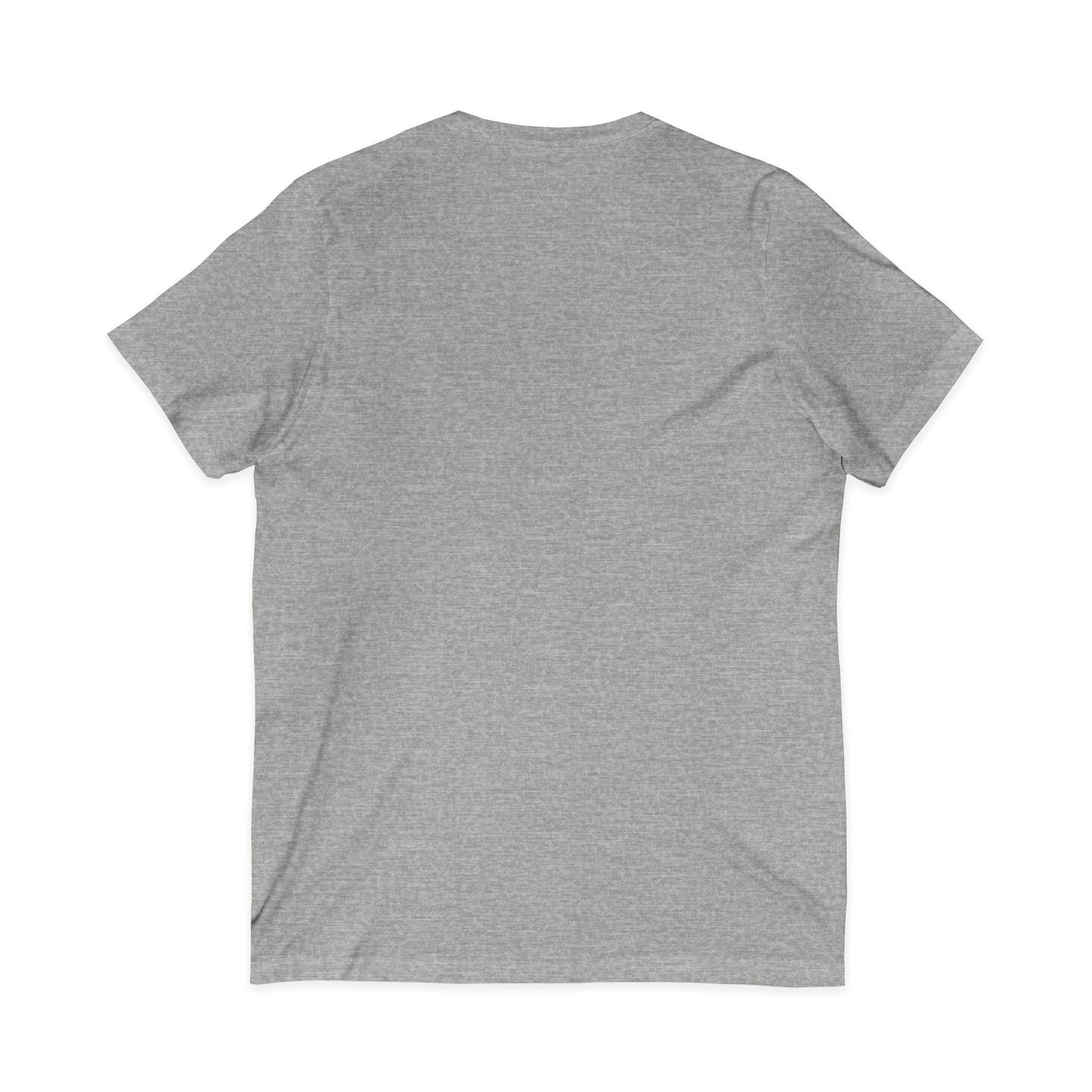 The Ritz Flamingo Sign V-Neck Tee – Gilded Ornament Graphic Print