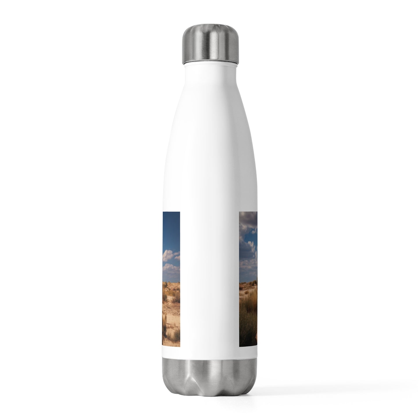 Desert Shipwreck 20oz Insulated Bottle – Sun-Scorched Galleon Dreamscape