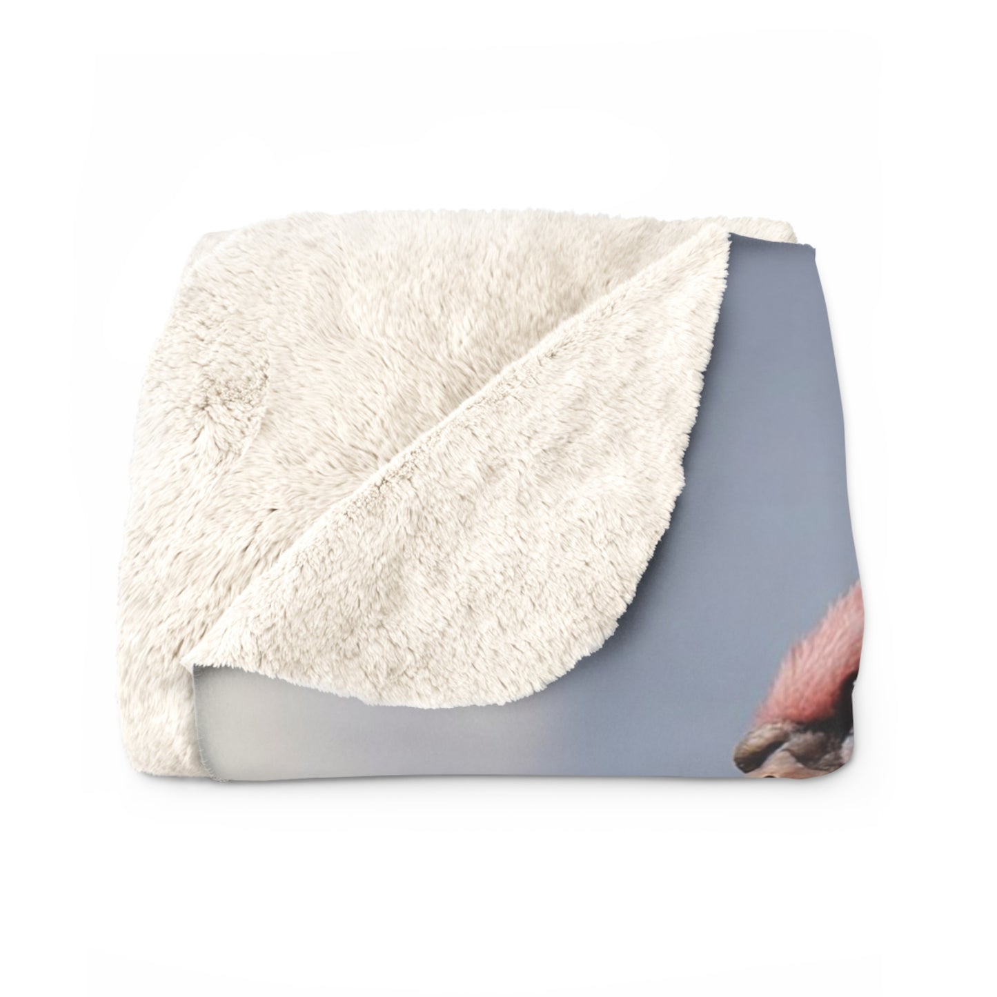 Pink Phoenix Creature Sherpa Fleece Blanket – Dawn Sky Guardian Plush Wrap