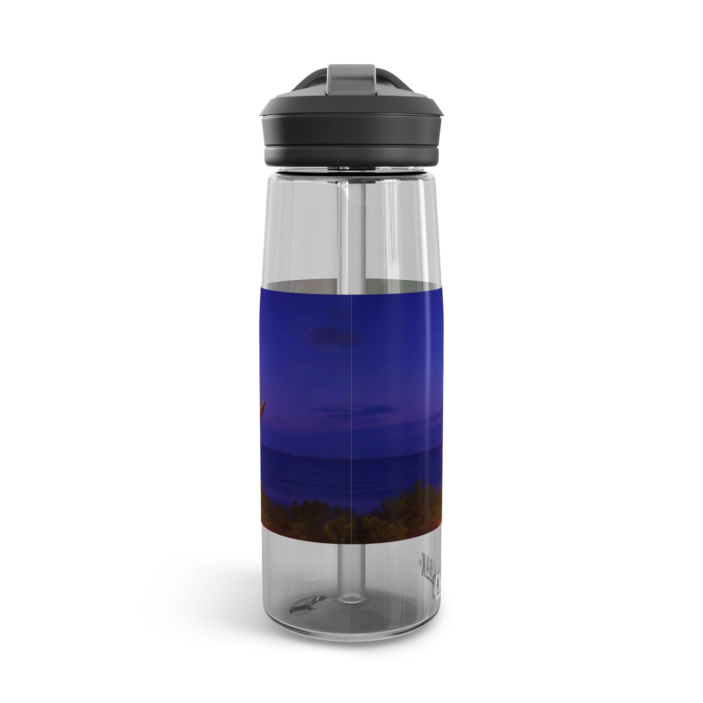 Luminous Phoenix Throne CamelBak Eddy® Water Bottle, 20oz\25oz – Sunset Sanctuary