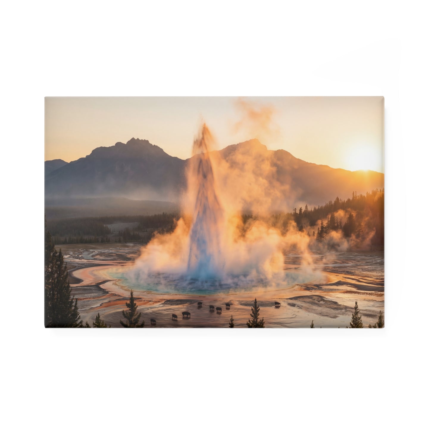 Geyser Dawn Button Magnet, Rectangle (1 & 10 pcs) – Steam & Bison at Sunset