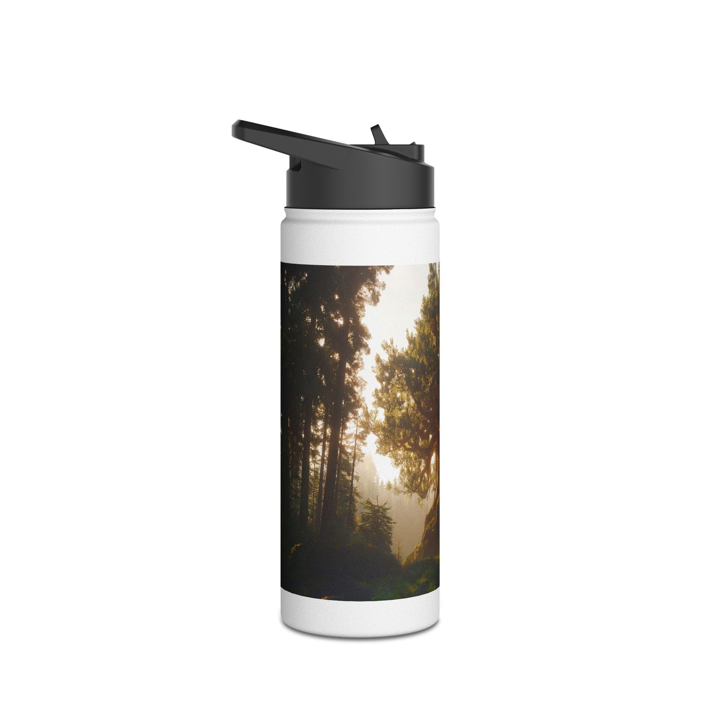 Ancient Treehouse Door Water Bottle – Sunlit Forest Portal