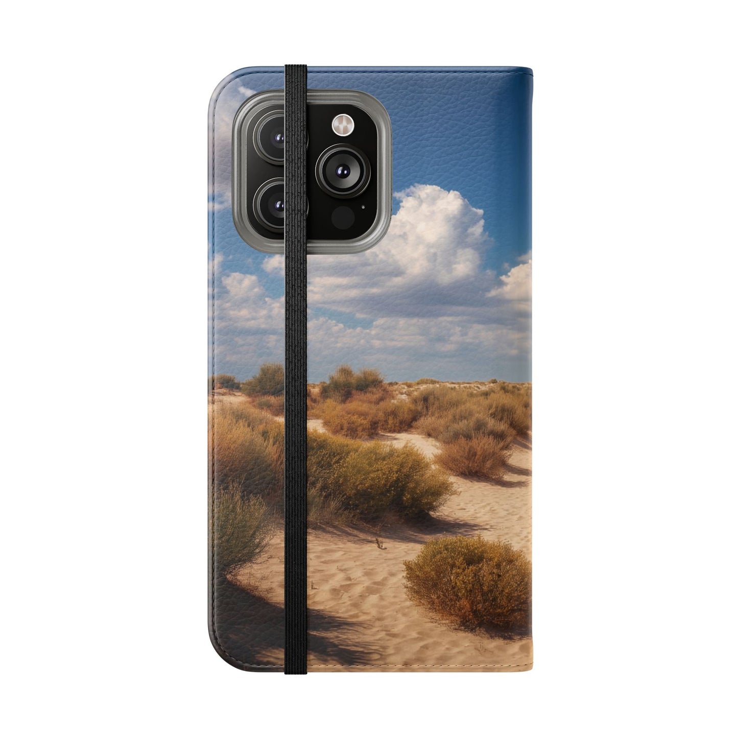Drowned Galleon Flip Cases – Desert Shipwreck Adventure