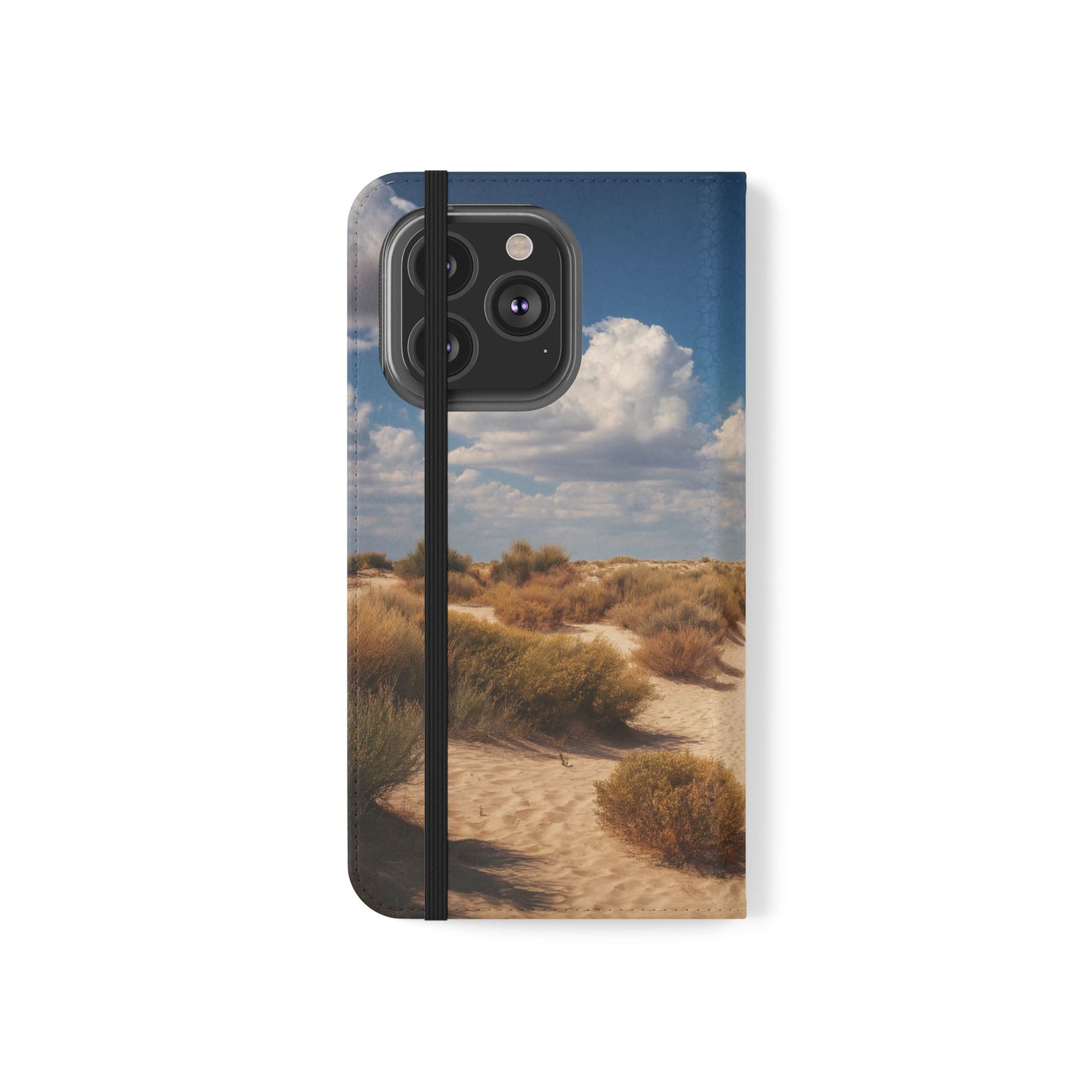 Drowned Galleon Flip Cases – Desert Shipwreck Adventure