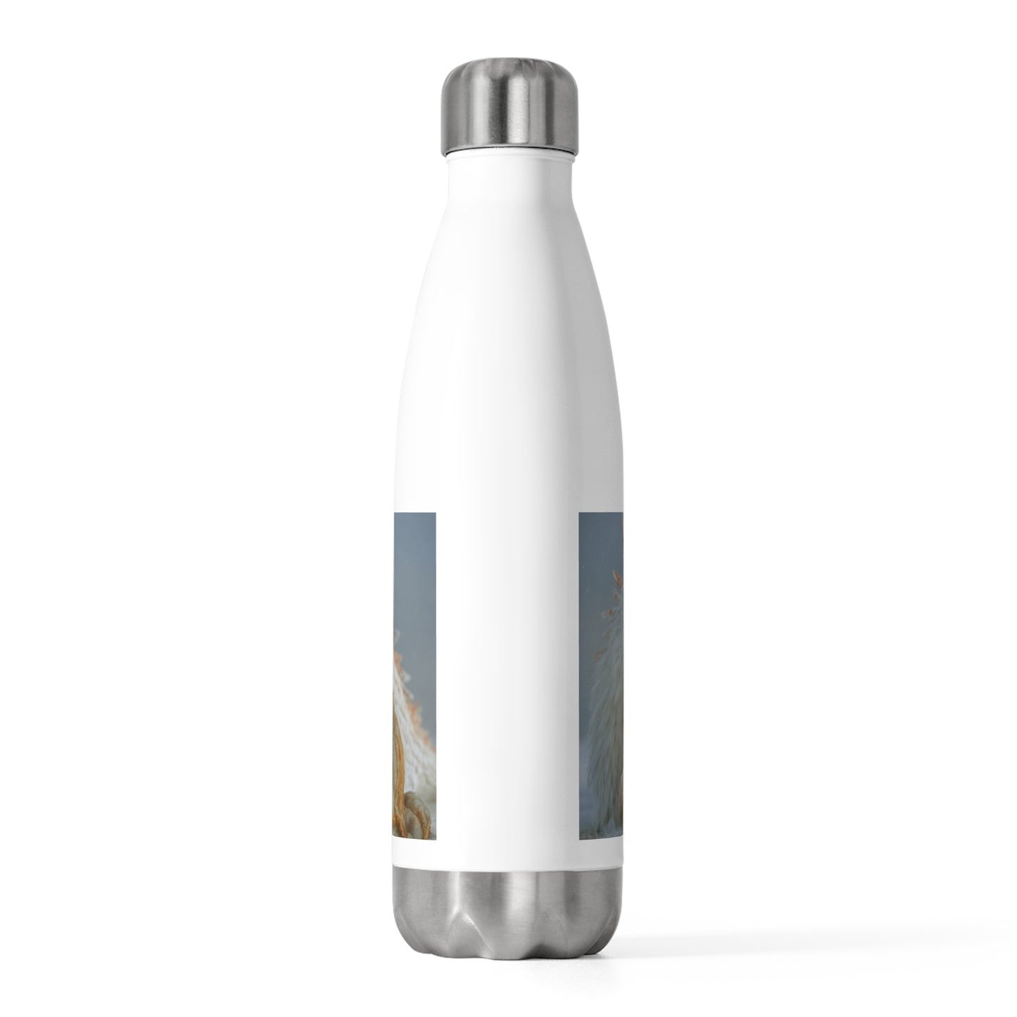 Snowbound Dragon Companion 20oz Insulated Bottle – Whispering Frost and Warmth